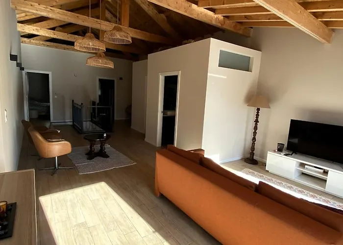 Casa Dos Camilos - Douro View Terrace House * 比索达雷加